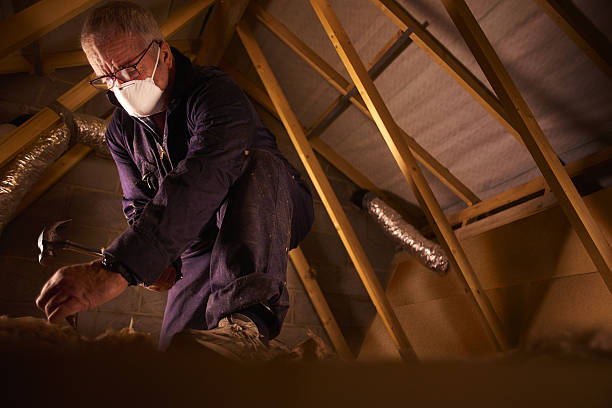 Best Specialized Insulation Services in Carle Place, NY